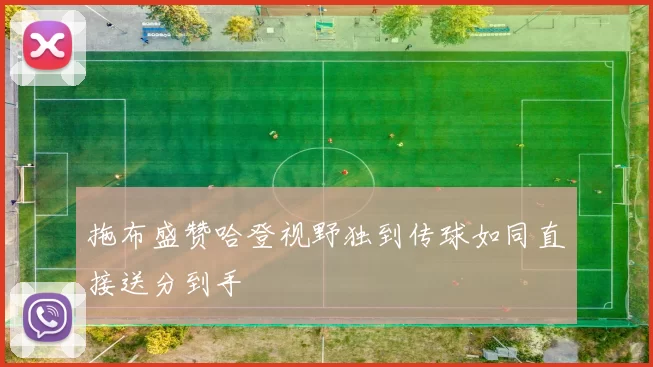 拖布盛赞哈登视野独到传球如同直接送分到手