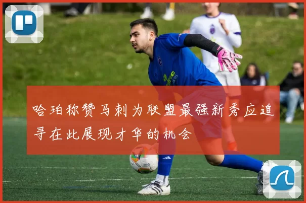 哈珀称赞马刺为联盟最强新秀应追寻在此展现才华的机会