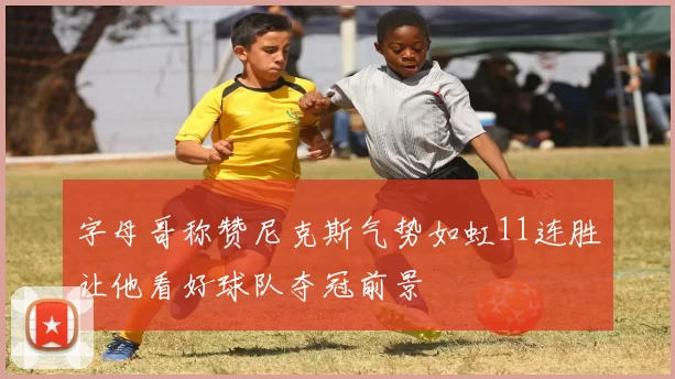 字母哥称赞尼克斯气势如虹11连胜让他看好球队夺冠前景